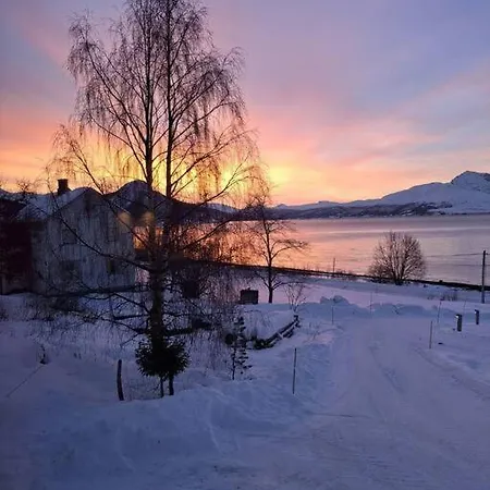 Et Flott Hus I Fine Og Rolige Omgivelser! Nyaraló Tromsdalen